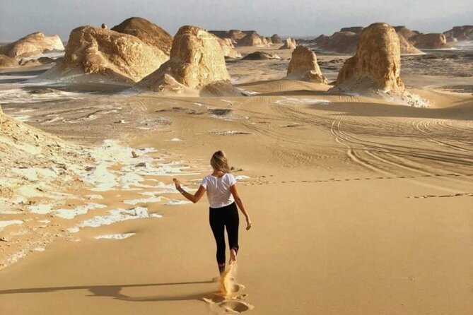 Private 6-Day Cairo and Bahariya Oasis Sightseeing Tour - Tour Highlights