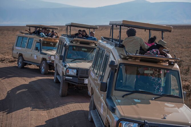 Private 6 Days Mid Range Tanzania Lodge Safari Experience - Good To Know