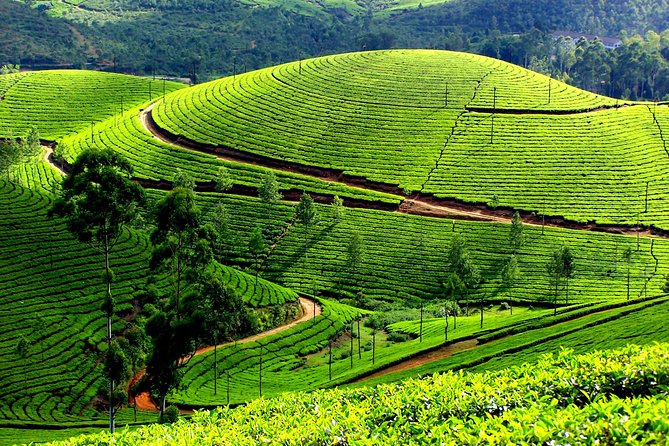 Private 7-Day Kerala Tour With Houseboat Cruise From Delhi With 2-Way Flights - Good To Know