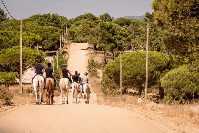 Private Alentejo Tour With Lunch and Horseback Ride Along Melides Beach - Good To Know