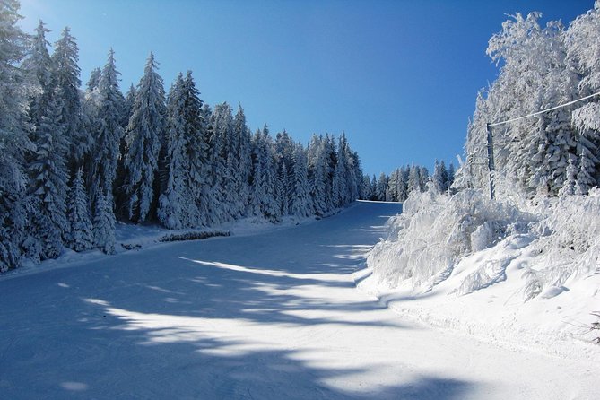 Private Arrival Transfer From Sofia Airport to Bansko - Good To Know