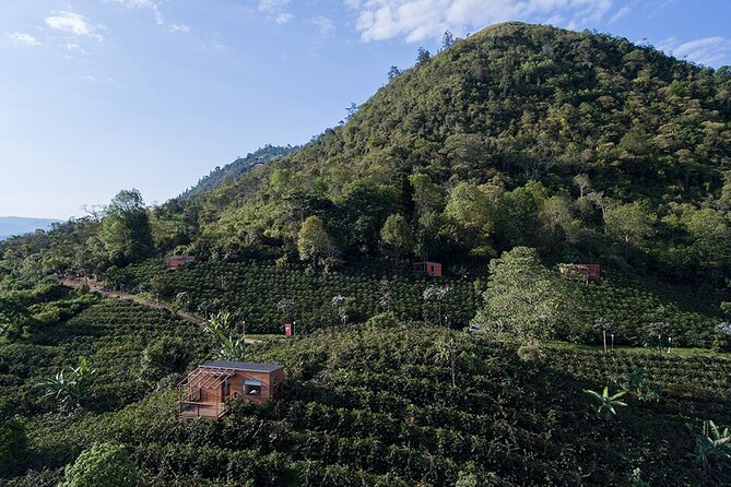 Private Coffee Plantation Experience With Tasting and Lunch - Good To Know