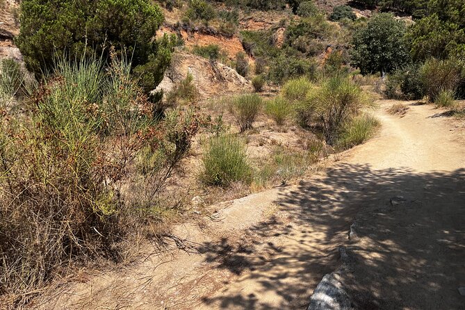 Private Collserola Hills Wildlife Hiking Tour - Good To Know