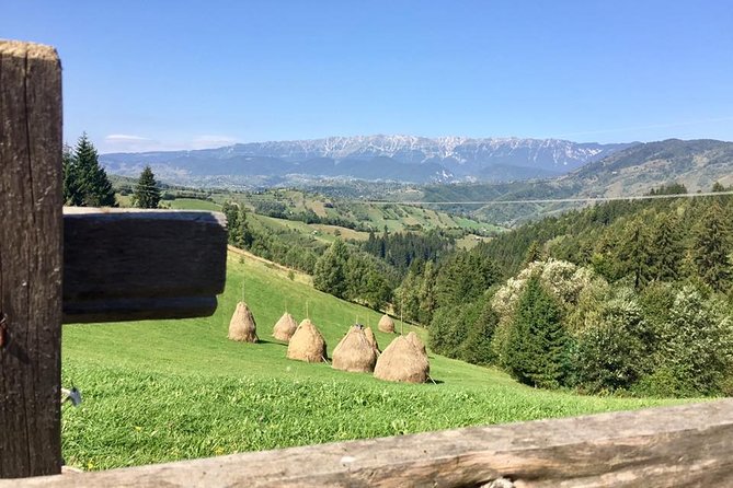 PRIVATE Day Hike on Rollings Hills Near Bran Castle, Through Mountain Villages - Good To Know