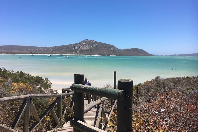 Private Day Tour Along the West Coast Around Cape Town - Good To Know