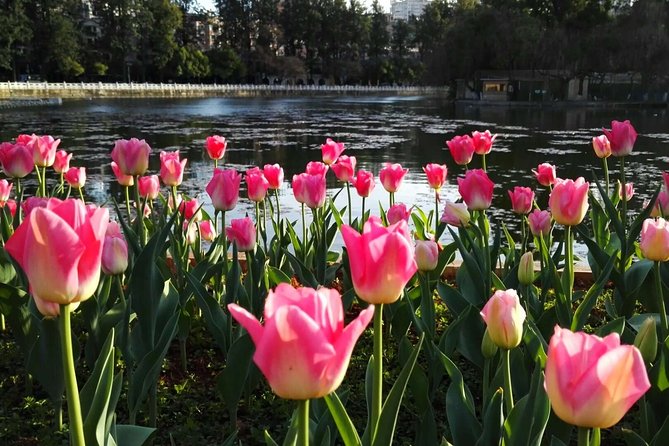 Private Day Tour in Kunming: Flower and Birds Market, Dianchi, Green Lake Etc. - Good To Know
