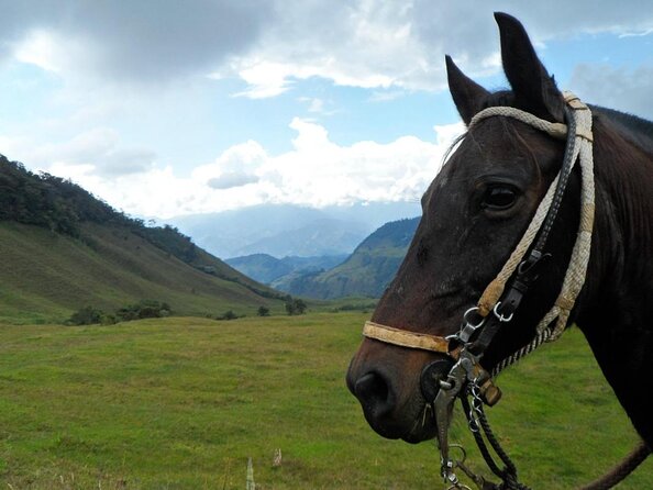 Private Day Tour of Jardín With Horseback Ride and Coffee Villa From Medellin - Good To Know