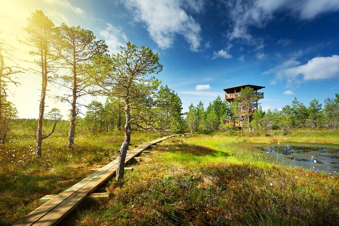 Private Day Tour to Lahemaa National Park From Tallinn - Good To Know
