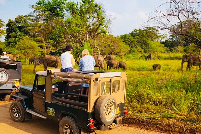 Private Day Trip To Sigiriya Dambulla and Safari From Trincomalee - Good To Know