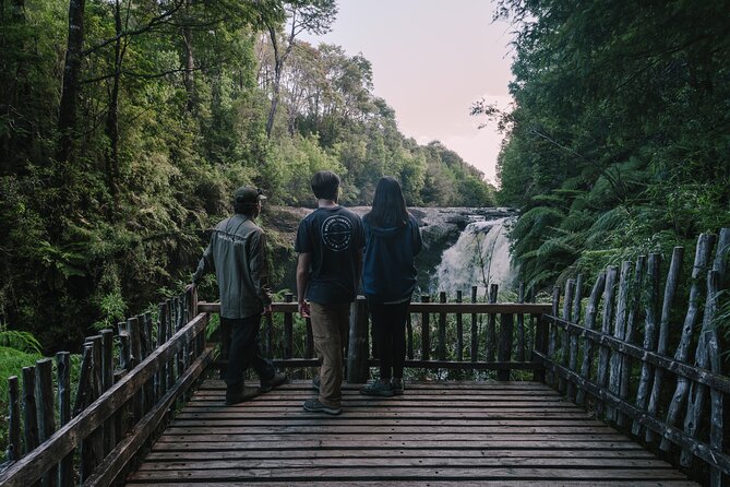 Private Excursion in Tepuhueico Park - Good To Know