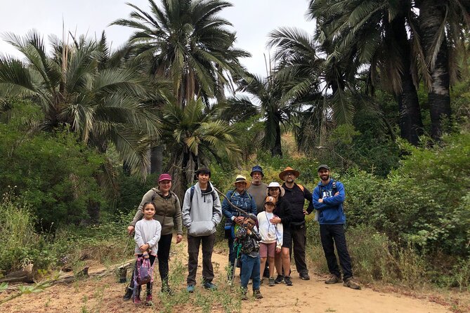 Private Excursion to the Palm Forest in Viña Del Mar - Good To Know