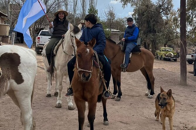 Private Experience Adventure Horseback Ride With Asado in Mendoza - Good To Know