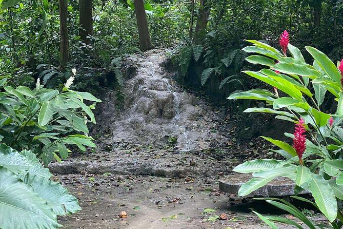 Private Experience in the Botanical Garden With Transportation Included