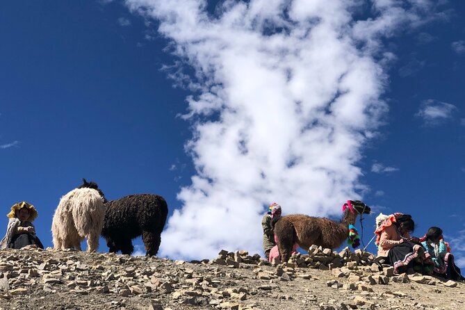Private Experience Vinicunca Rainbow Mountain Full-Day From Cusco - Good To Know