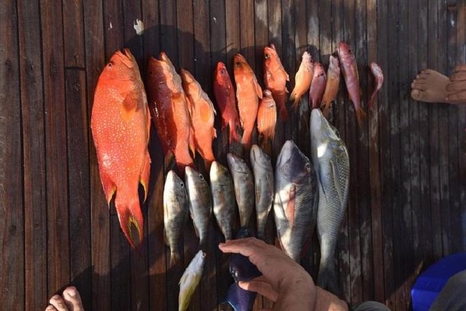 Private Fishing Trip Morning – Hurghada - Good To Know