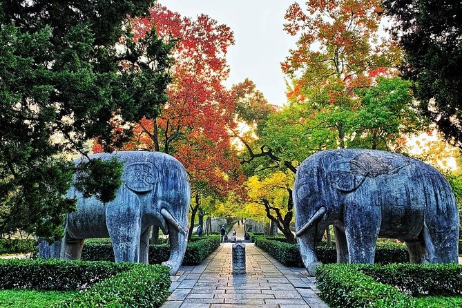 Private Flexible Nanjing Layover Tour in Your Way - Good To Know