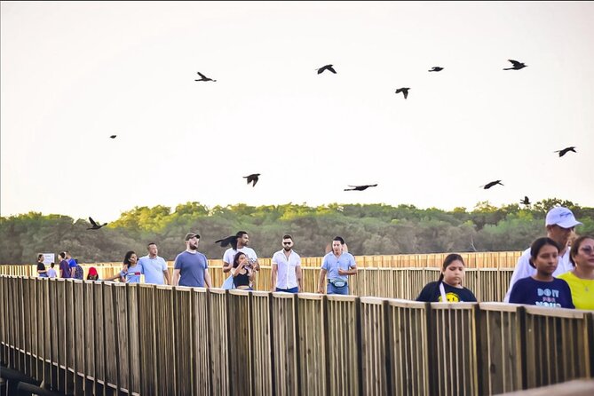 Private Guided Mallorquin Eco Park Walking Tour - Good To Know