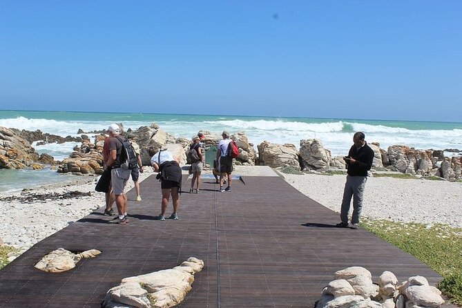 Private Guided Sightseeing Tour Visit to Cape Agulhas - Tour Overview