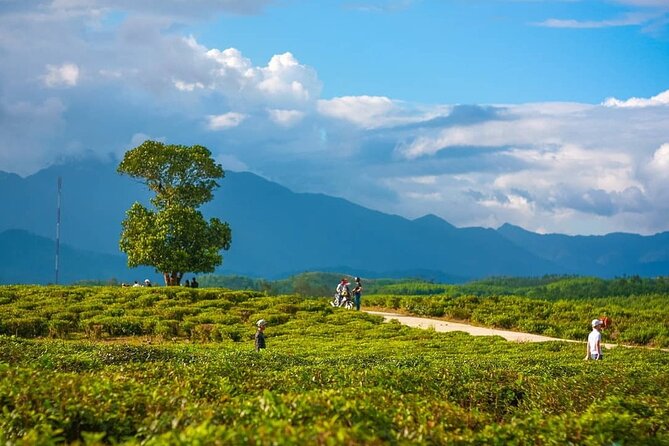 Private Guided Tour: a Spring Day in Dong Giang From Da Nang - Good To Know