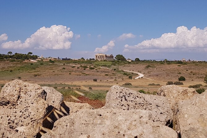 Private Guided Tour of the Selinunte Ruins - Good To Know
