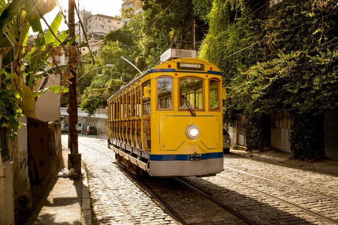 Private Guided Walking Tour of the Santa Teresa Neighborhood - Tour Details