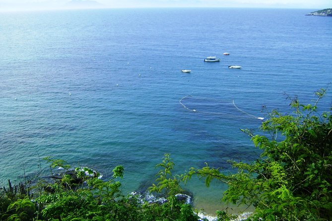 Private Half-Day Barra Da Tijuca, Prainha, and Joátinga Tour - Tour Overview