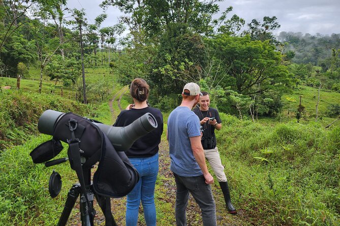 Private Half-Day Bird Watching Tour - Good To Know