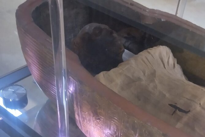 Private Half Day Tour Egyptian Museum Tutankhamun Artifacts - Tour Highlights
