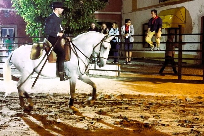 Private Half Day Tour in Lusitanian Horses and Photography Museum - Tour Overview