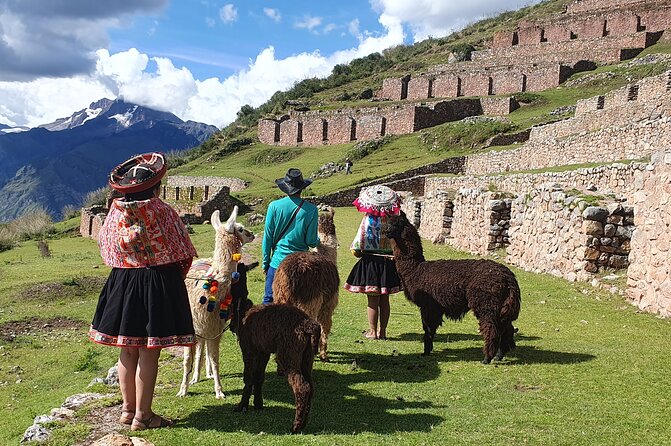 Private Hike With Llamas in the Andes of the Sacred Valley - Good To Know