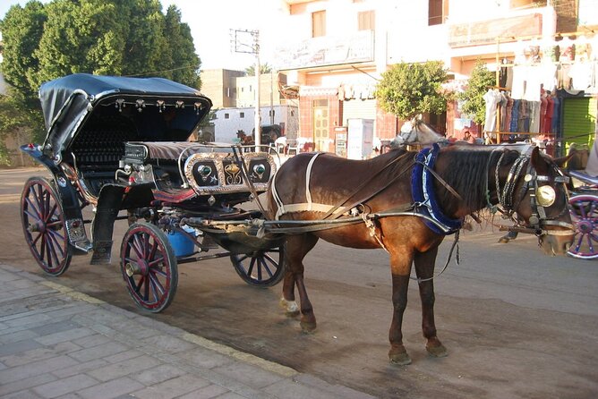 Private Horse Carriage Tour in Aswan City - Good To Know