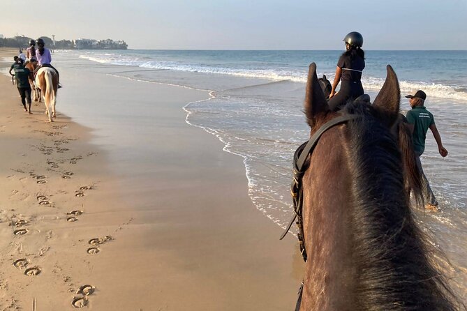 Private Horse Riding Activity in Port City - Good To Know