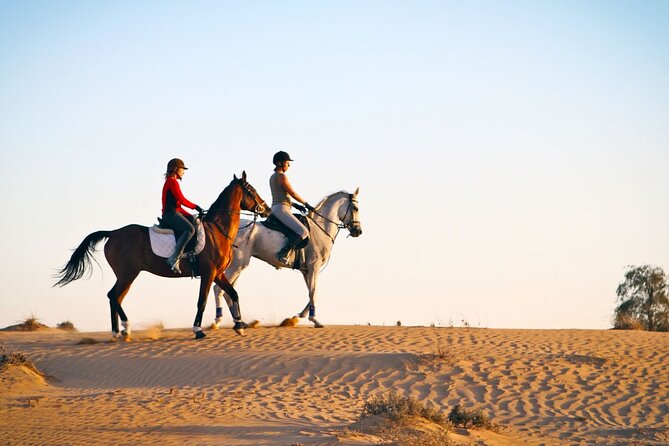 Private Horse Riding Tour in Luxor West Bank - Good To Know