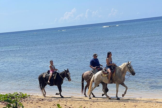 Private Horse Riding With City Walk and West Bay Beach in Roatan - Tour Highlights