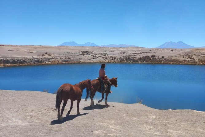 Private Horseback Riding Tour Through Inca Coya Lagoon - Good To Know