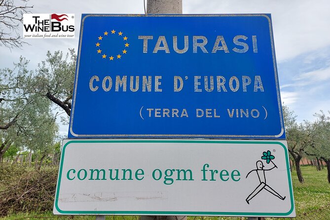 Private Irpinia Wine Tour With Pizza Cooking Class From NAPLES - Sample Menu Offerings