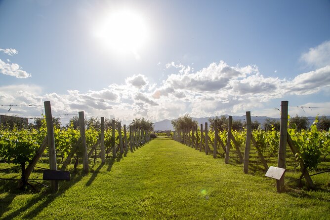 Private Maipu Valley Wine Tour From Mendoza - Good To Know