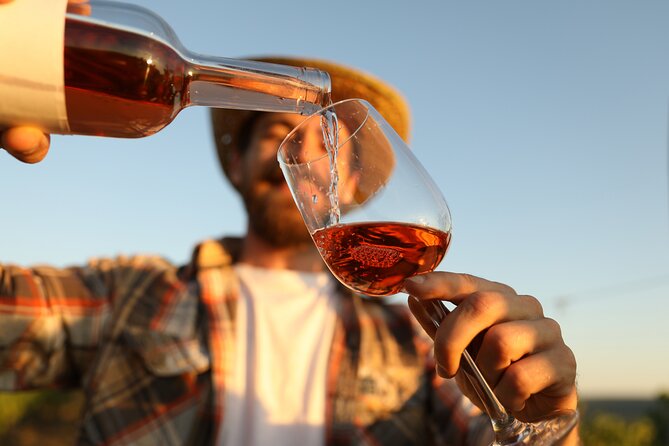 Private Native Wine Tasting Experience in Moldova - Good To Know