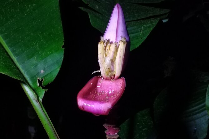 Private Night Observation Hike - Good To Know