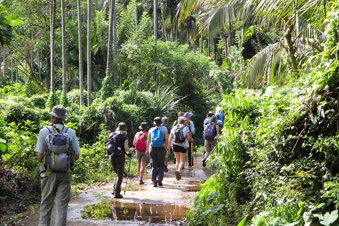 Private Overnight Adventure Tour to Knuckles and Meemure Village With Camping - Good To Know