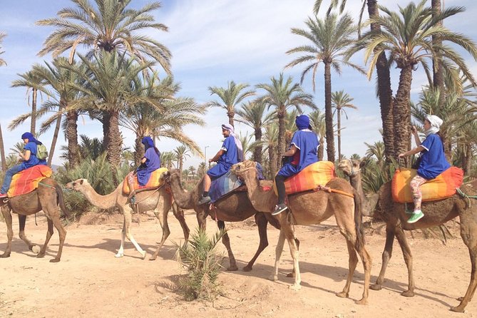 Private Palm Grove Camel Ride With A Tea Break. - Good To Know