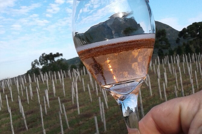 Private Picnic at the Vineyard Gardens in Gramado - Good To Know