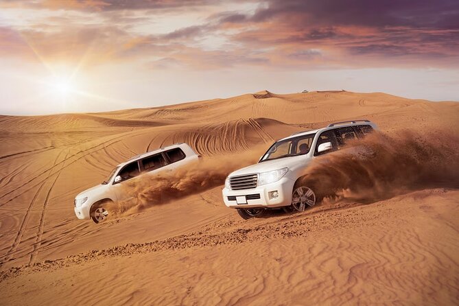 Private Red Dune Desert Safari Camel Ride Premium BBQ Dinner - Good To Know