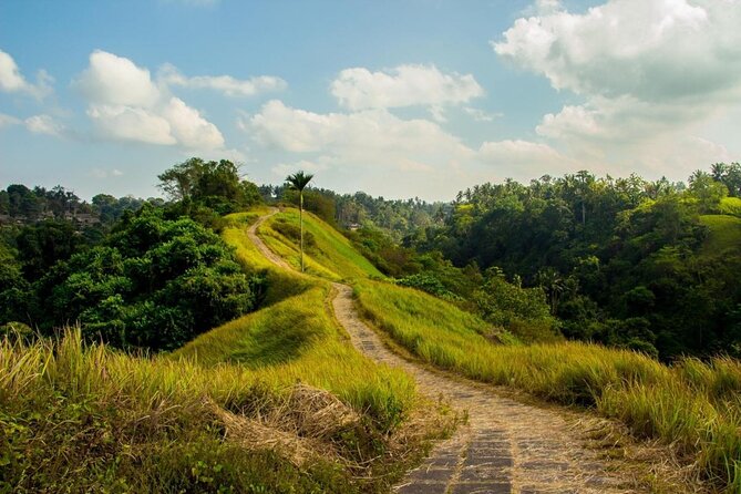 Private Romantic Tour in Ubud With Guide - Good To Know