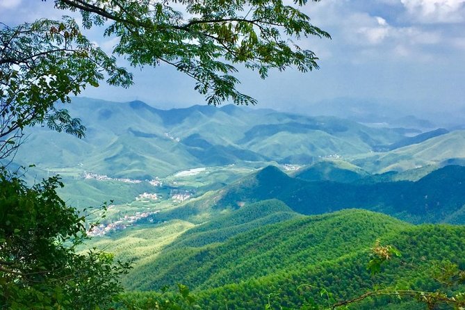 Private Round Trip Transfer to Mogan Mountain From Hangzhou - Good To Know