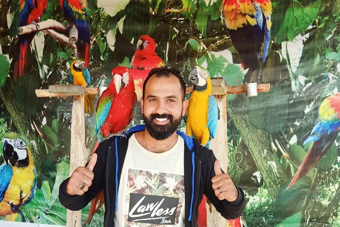 Private Safari Tour To Africano Park Alexandria From Cairo - Good To Know