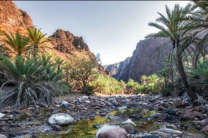 Private Safari Wadi Qunai and Three Pools Tour With Pickup - Good To Know