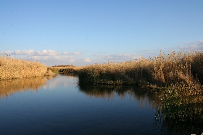 Private Shaumari Wildlife Experience and Overnight at Azraq Wetland Reserve. - Good To Know