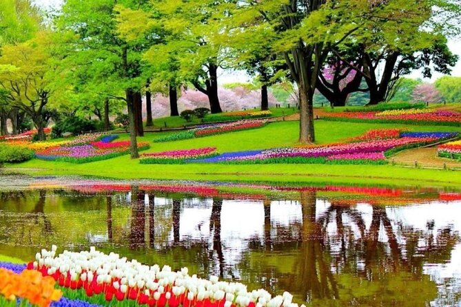 Private Sightseeing Tour to Keukenhof & Giethoorn - Good To Know