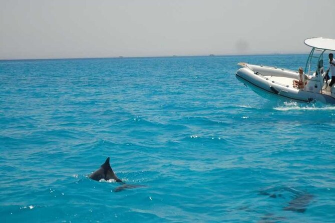 Private Speed Boat to Watch Dolphins With Transfer in Hurghada